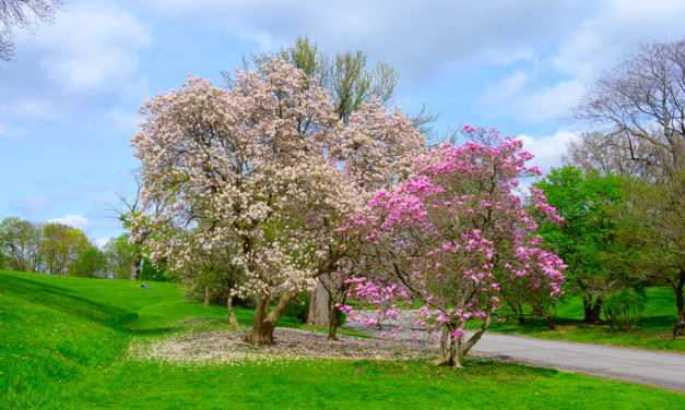 Rise and Shine: May 17, 2022