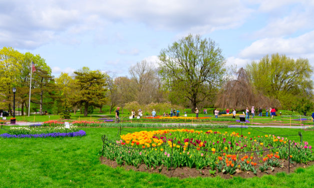 Rise and Shine: May 20, 2022