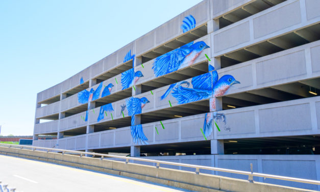 Rise and Shine: Monday, June 20, 2022