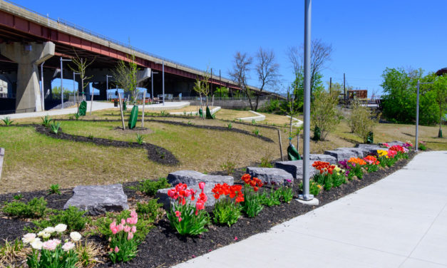 Rise and Shine: Friday, June 10, 2022