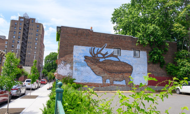 Rise and Shine: Friday, June 24, 2022