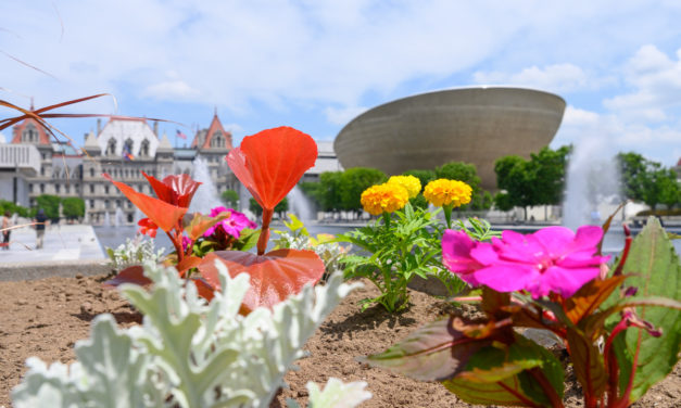 Rise and Shine: Thursday, June 23, 2022