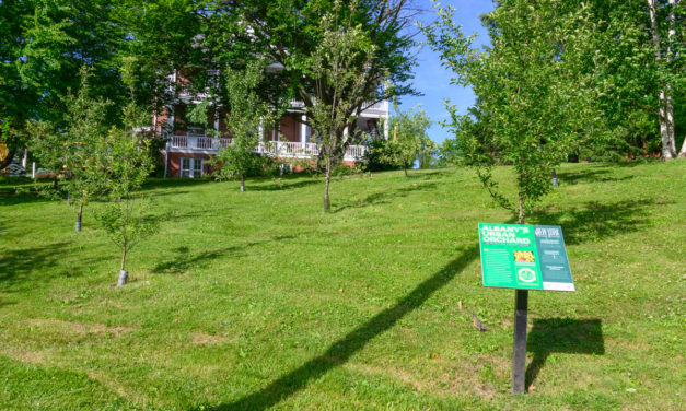 Rise and Shine: Thursday, June 30, 2022