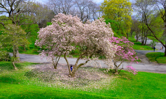 Rise and Shine: Thursday, June 2, 2022