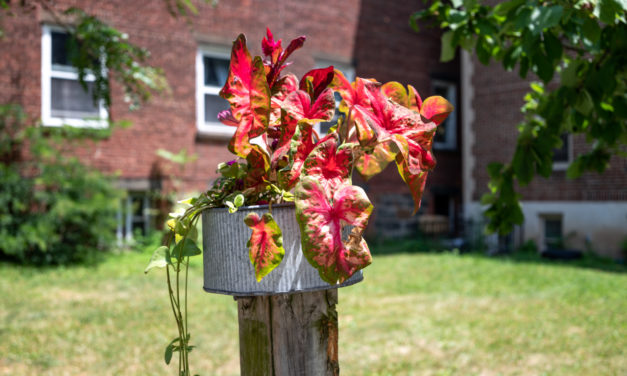 Rise and Shine: Friday, July 22, 2022