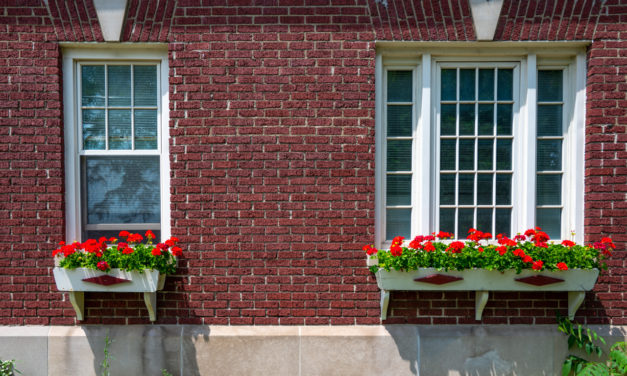 Rise and Shine: Tuesday, July 19, 2022