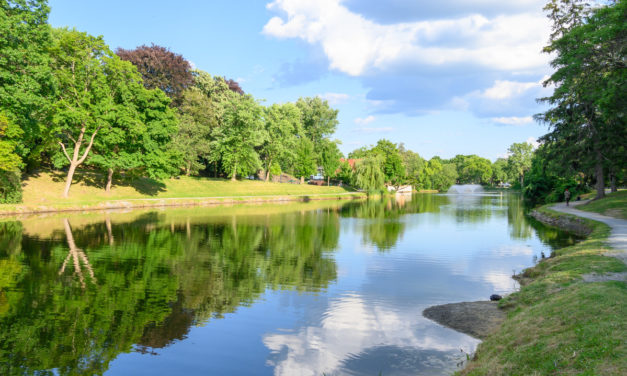 Rise and Shine: Tuesday, July 5, 2022