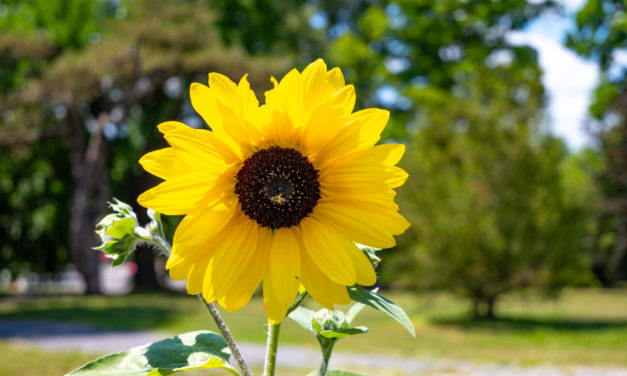 Rise and Shine: Thursday, Aug. 25, 2022