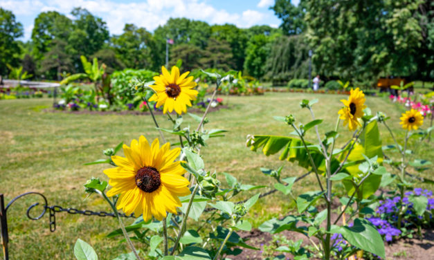 Rise and Shine: Thursday, Aug. 4, 2022