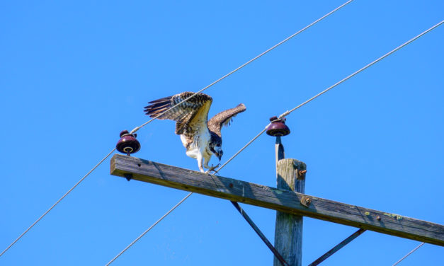 Rise and Shine: Tuesday, Aug. 9, 2022