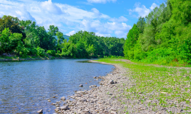 Rise and Shine: Thursday, Aug. 11, 2022