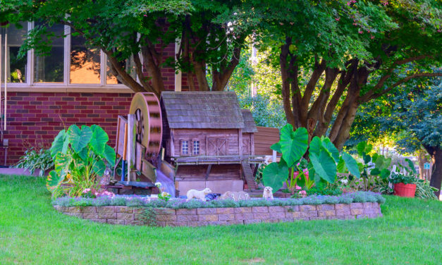 Rise and Shine: Wednesday, Aug. 17, 2022