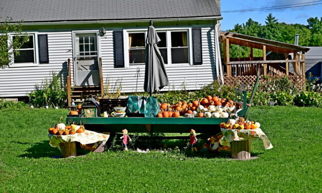 Rise and Shine: Thursday, Sept. 22, 2022