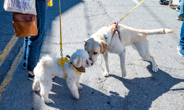 Rise and Shine: Thursday, Sept. 29, 2022