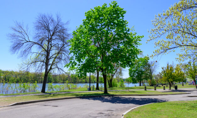 Rise and Shine: Tuesday, Sept. 27, 2022