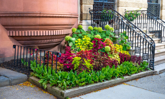 Rise and Shine: Tuesday, Oct. 18, 2022