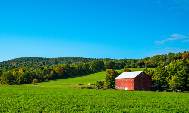 Rise and Shine: Friday, Oct. 7, 2022