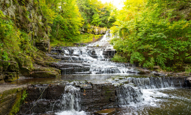 Rise and Shine: Tuesday, Oct. 11, 2022