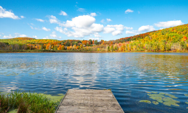 Rise and Shine: Friday, Oct. 21, 2022