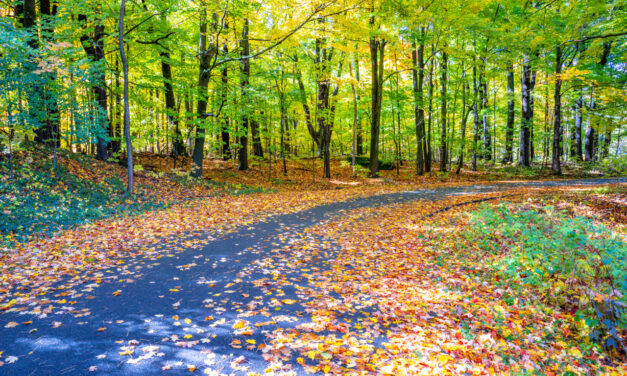 Rise and Shine: Thursday, Oct. 20, 2022