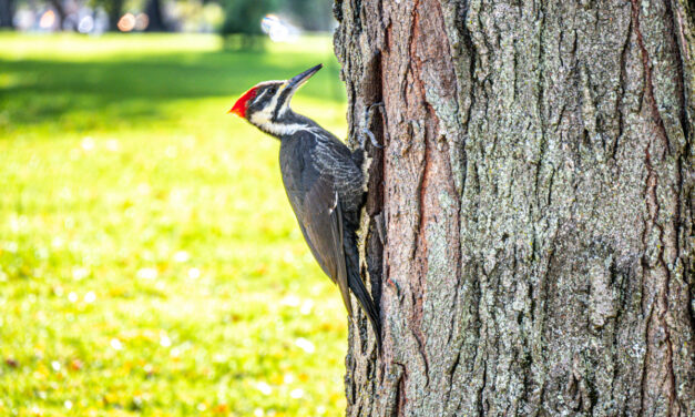 Rise Shine: Monday, Oct. 24, 2022