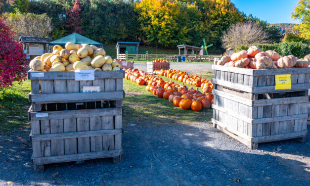 Rise and Shine: Wednesday, Oct. 26, 2022