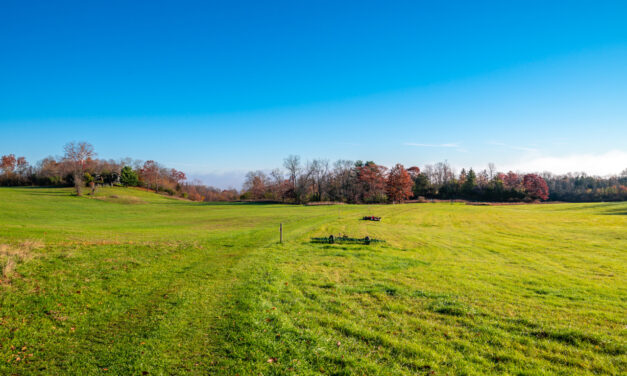 Rise and Shine: Tuesday, Nov. 29, 2022