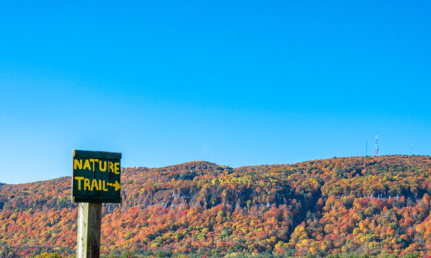 Rise and Shine: Friday, Nov. 4, 2022