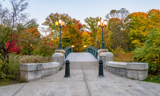 Rise and Shine: Nov. 7, 2022