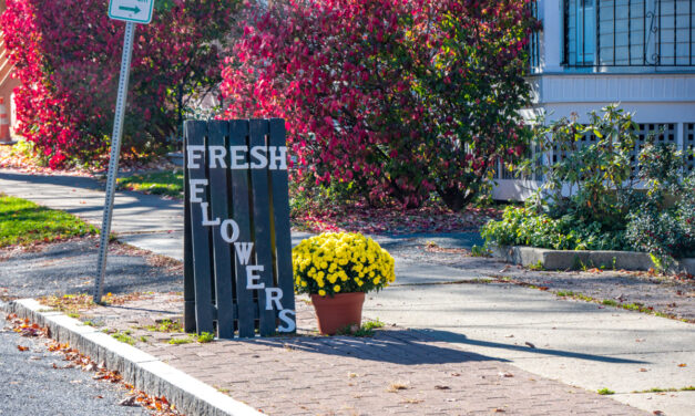 Rise and Shine: Tuesday, Nov. 15, 2022