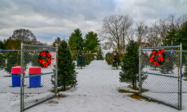 Rise and Shine: Wednesday, Dec. 21, 2022