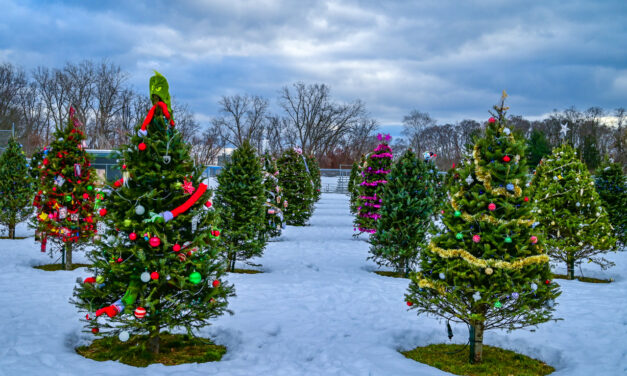 Rise and Shine: Friday, Dec. 24, 2022