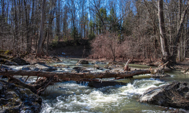 Rise and Shine: Monday, Jan. 30, 2023