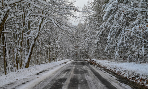 Rise and Shine: Tuesday, Jan. 24, 2023