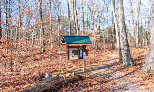 Rise and Shine: Wednesday, Jan. 4, 2023