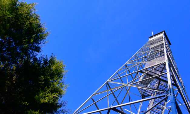 Rise and Shine: Friday, Jan. 20, 2023