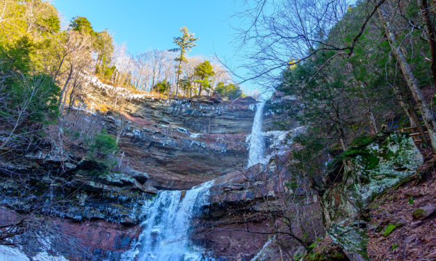 Rise and Shine: Monday, Jan. 23, 2023