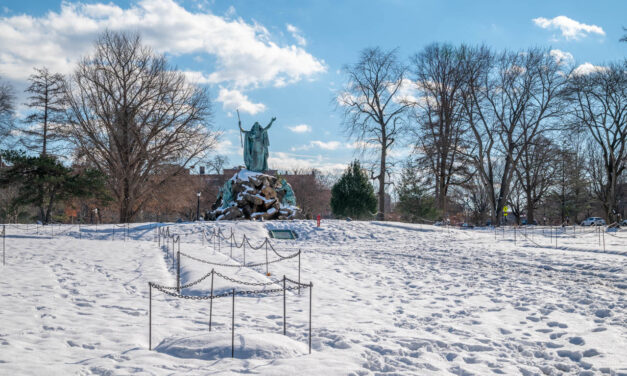 Rise and Shine: Wednesday, Feb. 8, 2023