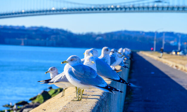 Rise and Shine: Tuesday, Feb. 14, 2023