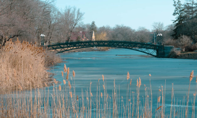 Rise and Shine: Tuesday, Feb. 28, 2023