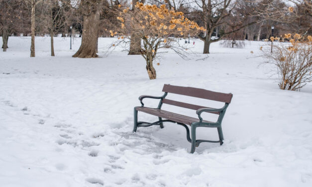 Rise and Shine: March 15, 2023