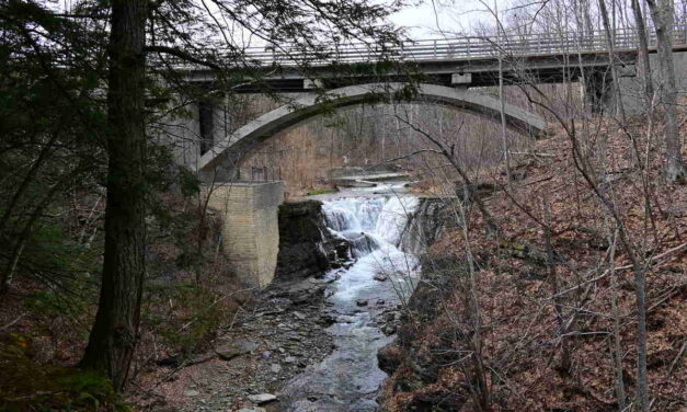 Rise and Shine: Monday, March 6, 2023