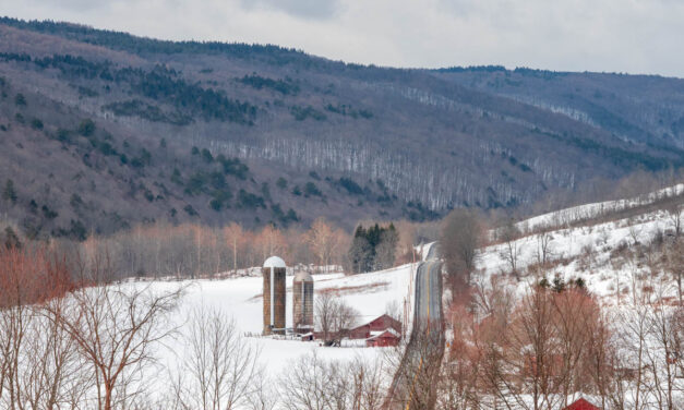 Rise and Shine: Thursday, March 9, 2023