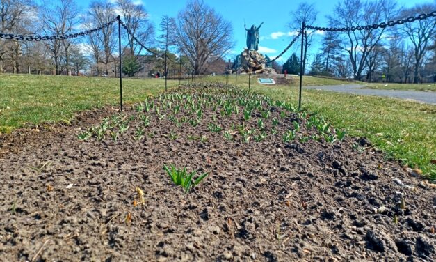 Rise and Shine: Tuesday, April 11, 2023