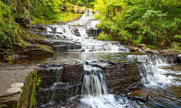 Rise and Shine: Tuesday, April 18, 2023