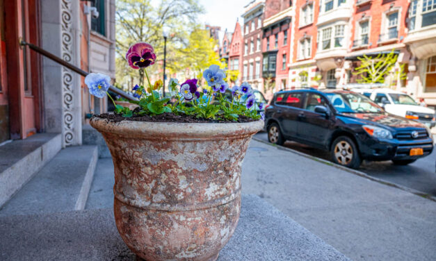 Rise and Shine: Tuesday, April 25, 2023