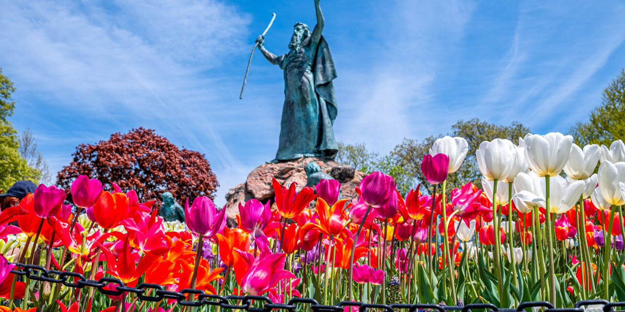 Photos: Washington Park Tulips