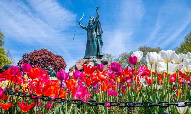 Photos: Washington Park Tulips