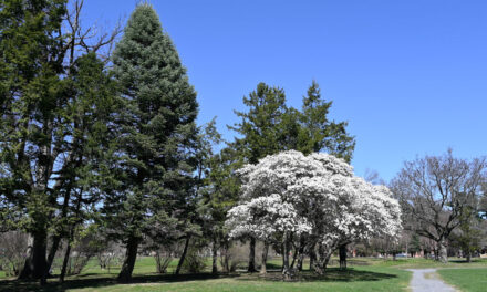 Rise and Shine: Tuesday, April 22, 2025