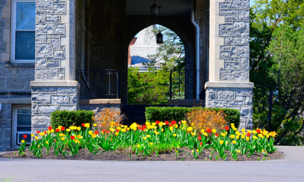 Rise and Shine: Thursday, May 1, 2025